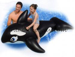 delpfin intex 58561 